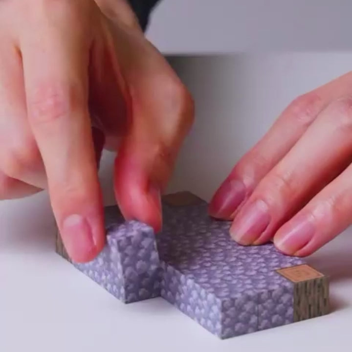 Jeux Minecrat cadeau Noël aimanté